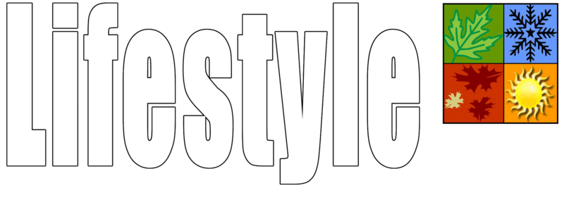 Lifestyle Screen Door Logo